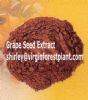 Grape Seed Extract (Shirley At Virginforestplant Dot Com)